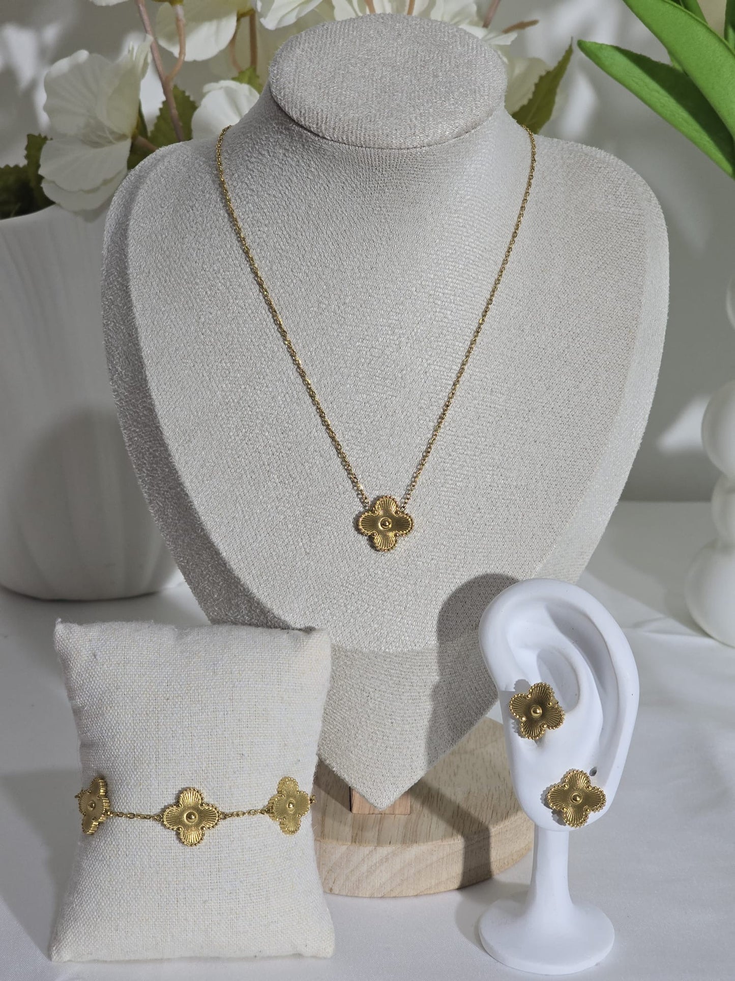 Brigitte coordonnée