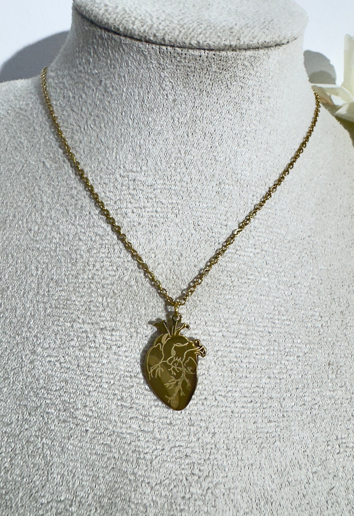 Collana cuore anatomico