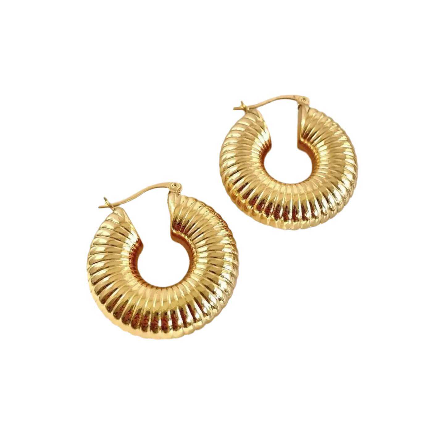 Orecchini Hoops